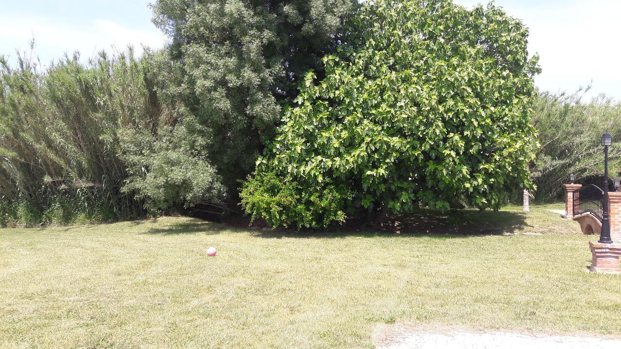 شقة Quinta Da Abrunheira Vimieiro  المظهر الخارجي الصورة